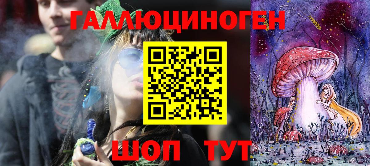 что такое   Псилоцибиновые грибы Psilocybe  Вход с VPN  Сорочинск 